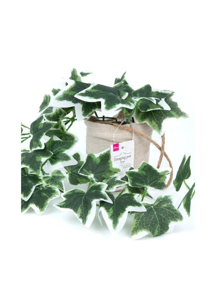 DAISO Hanging Pot Ivy – Speckled | Decorative Indoor Plant Pot | Wall & Ceiling Hanging Planter - Image 2